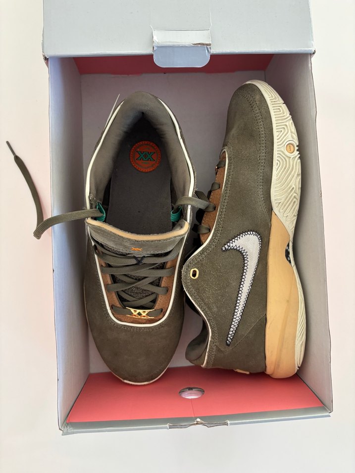 Lebron 20 özel renk - Görsel 3