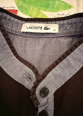 Orijinal Lacoste Günlük Elbise - Görsel 4