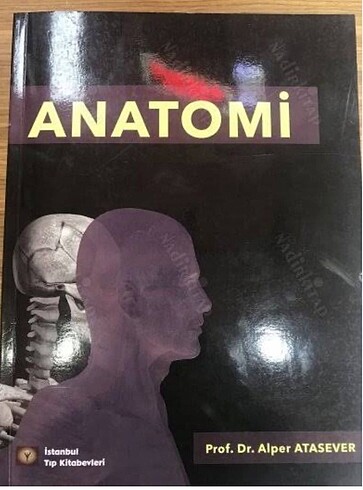 Anatomi Prof Dr Alper Atasever