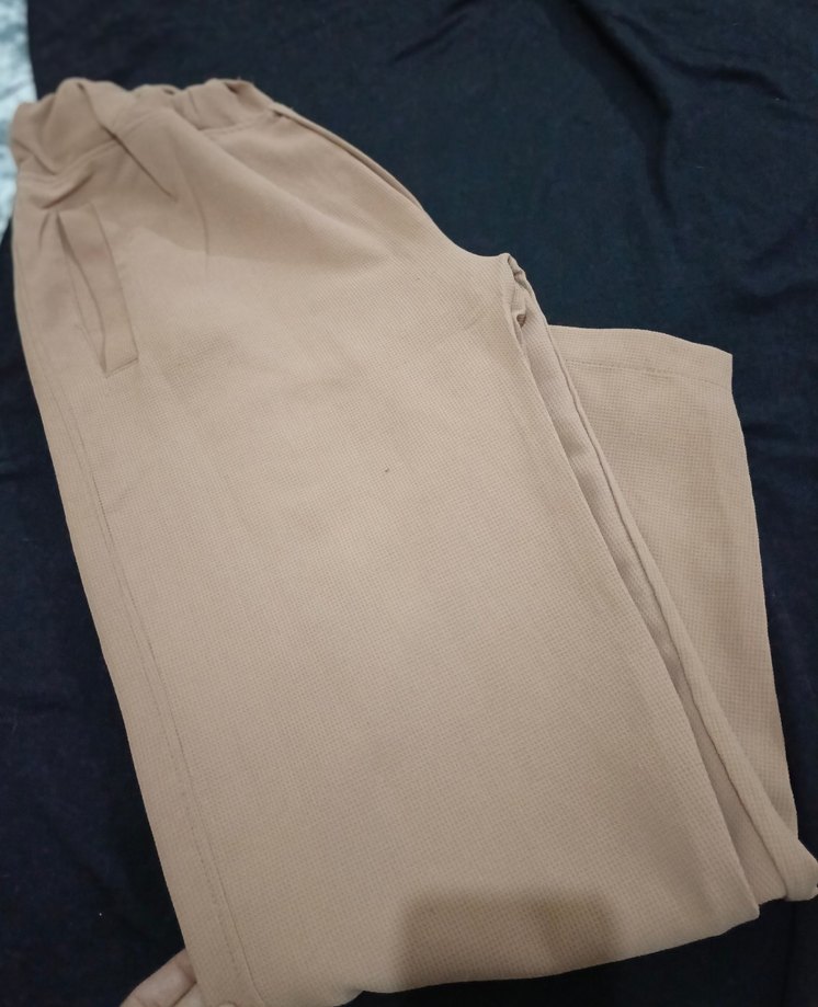 Bej Kadın Keten Pantolon, Regular Fit, Pilili - Görsel 2