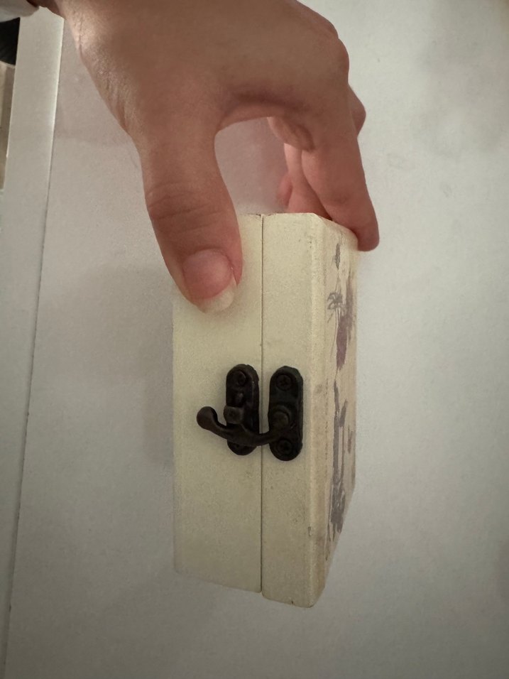 Desenli Takı Kutusu - Görsel 3