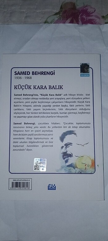 Küçük Kara Balık