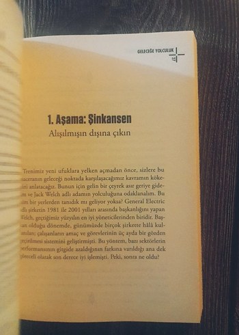 Beden Renk Ikigai Uygulama Rehberi - Japon Mutluluğu Sırrı