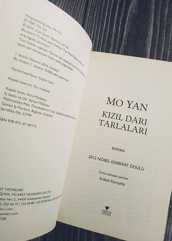 Kızıl Dari Tarlaları - Mo Yan - Görsel 2