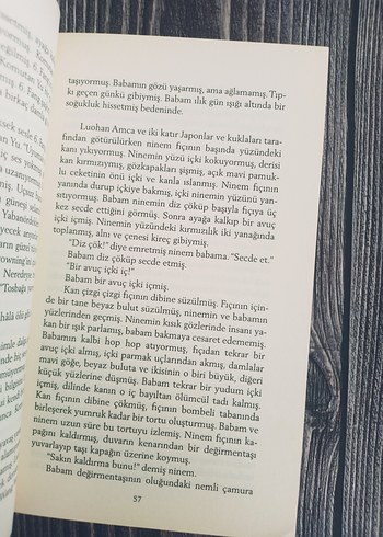 Kızıl Dari Tarlaları - Mo Yan - Görsel 3