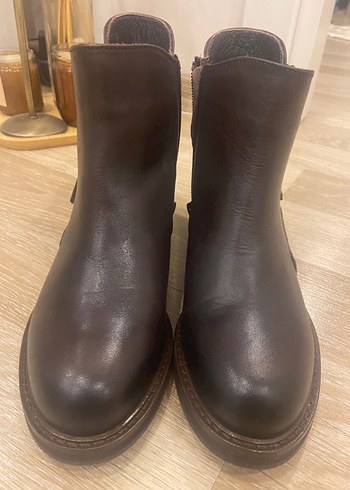 Kahverengi Tergan Bot - Görsel 3