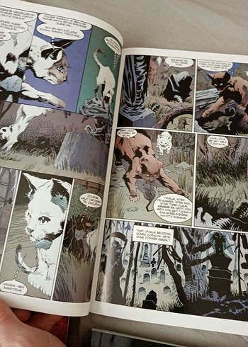 Beden Renk Neil Gaiman Sandman 11 cilt