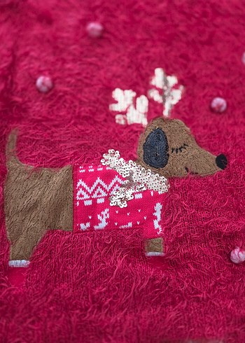 Kırmızı tüylü kazak - Görsel 5