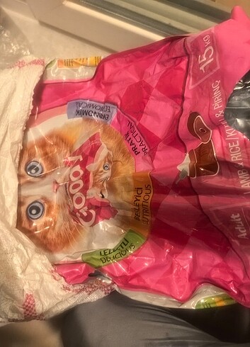Kedi maması