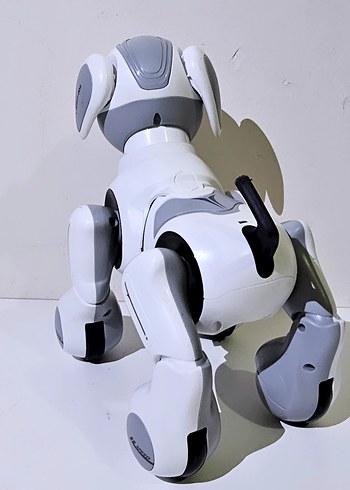 Beden Renk ROBOT OYUNCAK KÖPEK ÇOK FOKSİYONLUDUR.DENEME