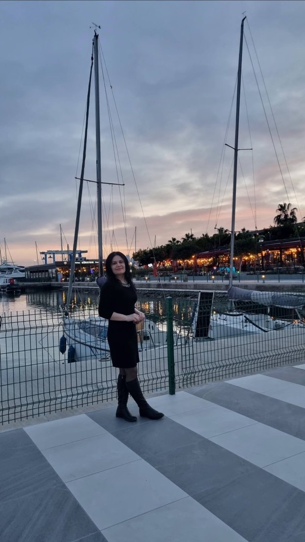 Siyah Yaka Deraylı Kapri Kollu Elbise - Görsel 2