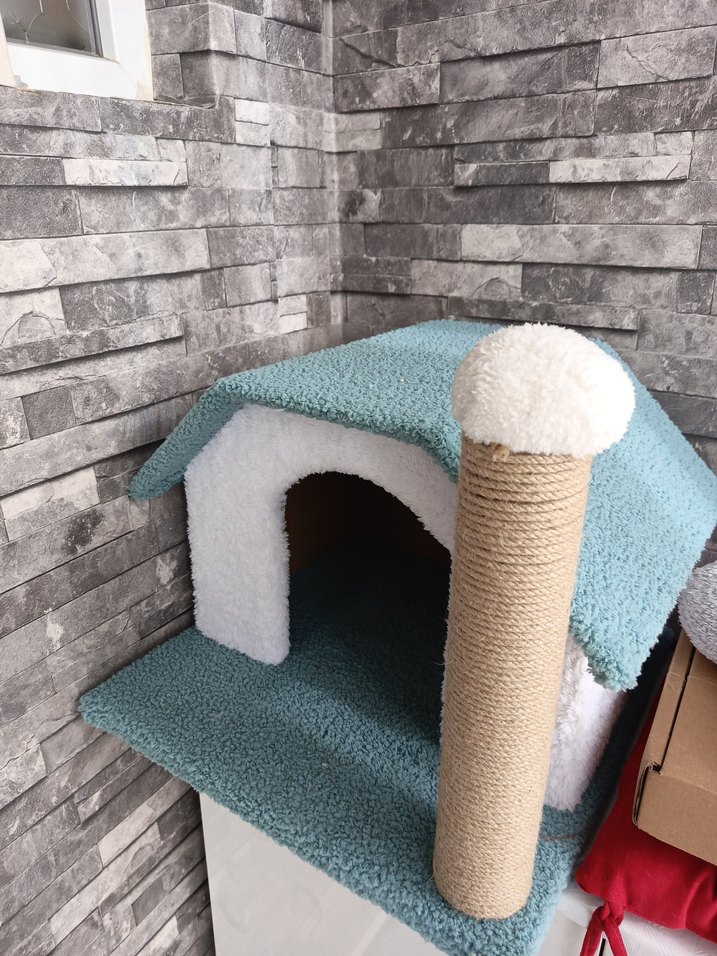 Kedi Evi ve Tırmalama Direği - Görsel 4