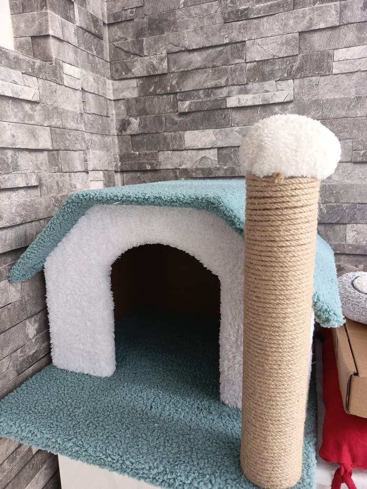 Kedi Evi ve Tırmalama Direği - Görsel 2