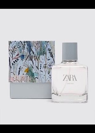 zara parfüm 