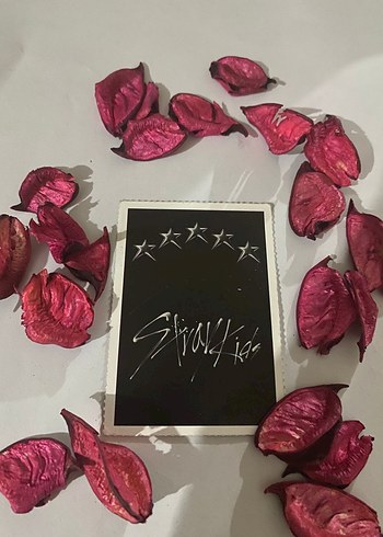 straykids fotokart - Görsel 2