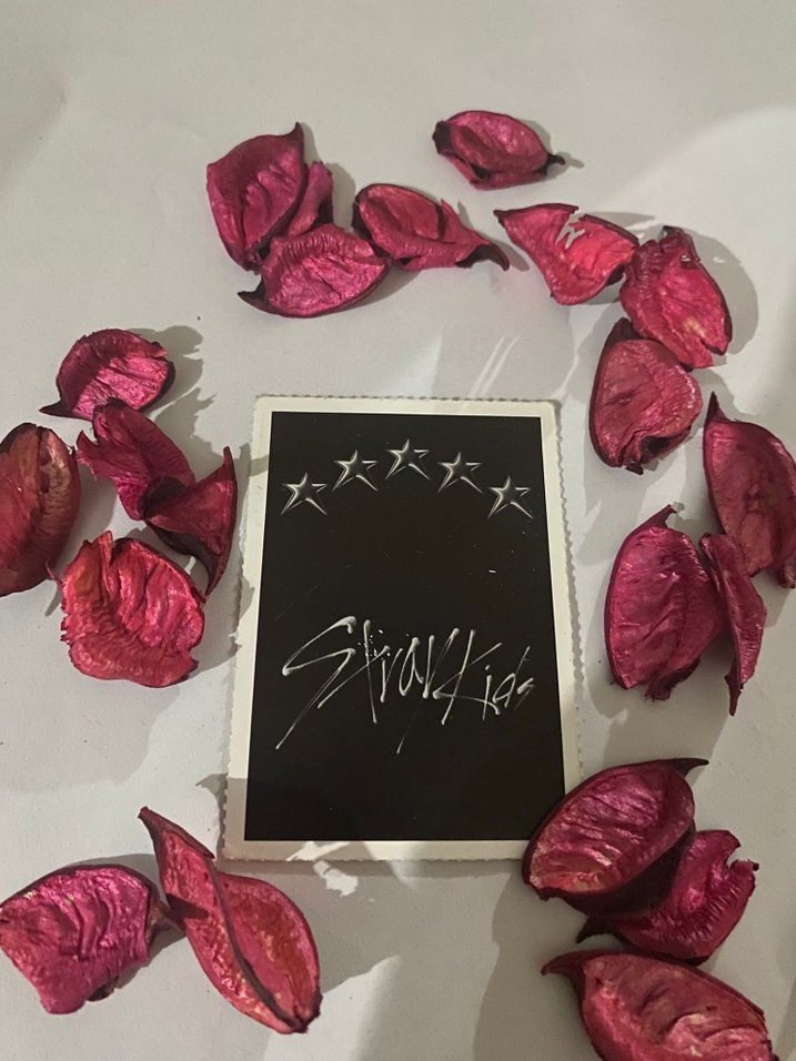 straykids fotokart - Görsel 2