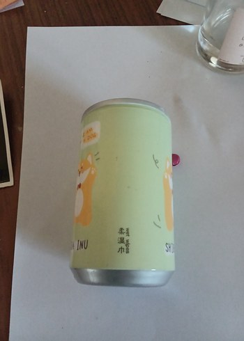 gazoz şişesinde ıslak mendil - Görsel 2