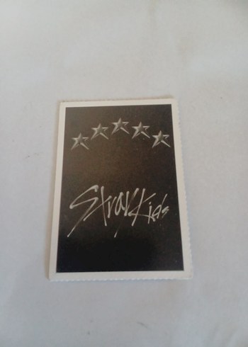 stray Kids fotokart - Görsel 2