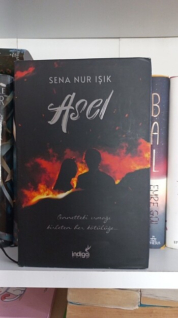 Sena Nur Işık- Asel