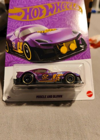 Mor Hot Wheels Oyuncak Araba