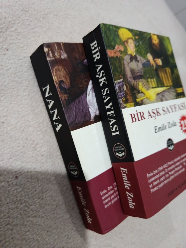 Nana ve Bir Aşk Sayfası - Emile Zola Romanları - Görsel 2