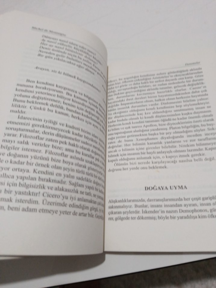 Denemeler - Michel de Montaigne - Görsel 4