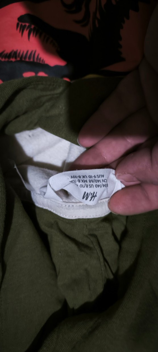 Jurassic Park Baskılı Gri Erkek Sweatshirt - Görsel 2