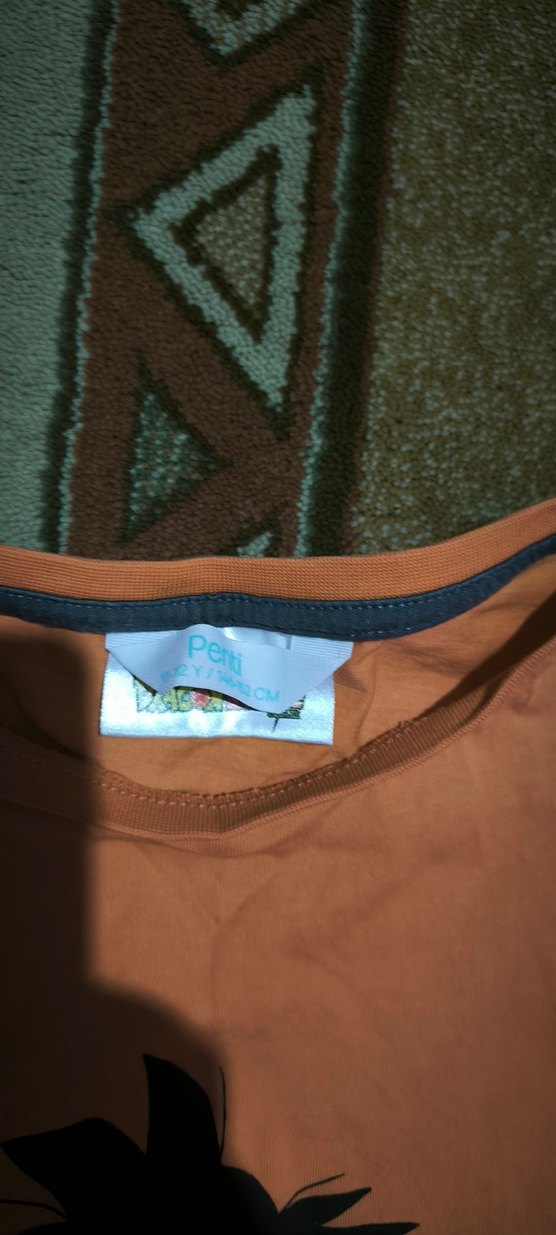 Kahverengi Baskılı Erkek Çocuk Tişörtü - Görsel 2