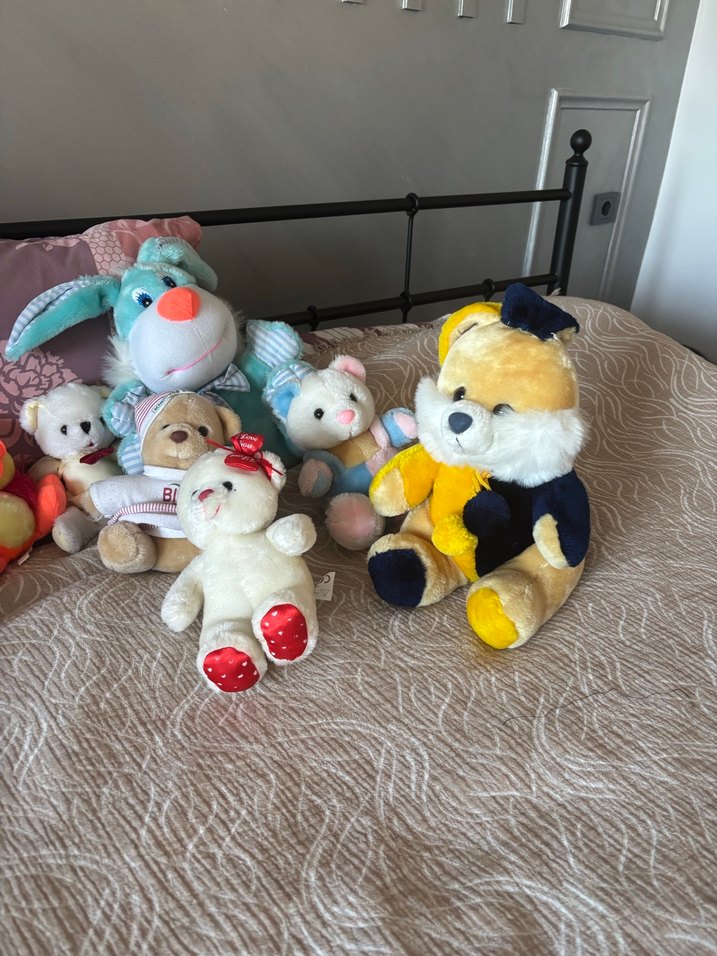 Peluş Oyuncak - Görsel 3