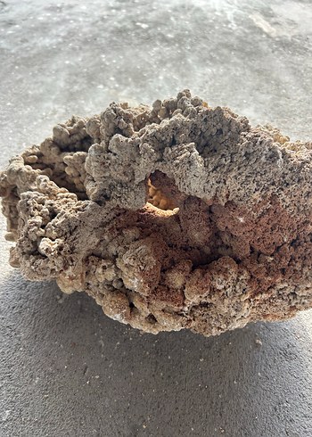 Akvaryum kayası - Görsel 3