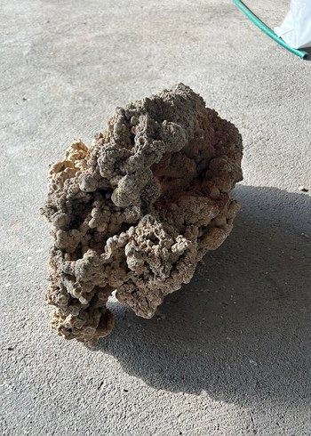 Akvaryum kayası - Görsel 5