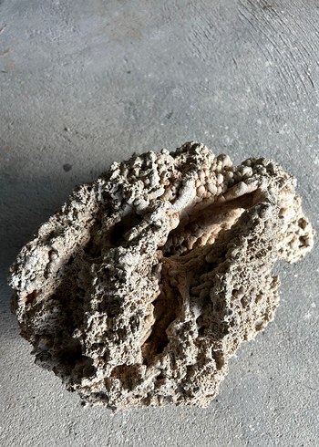 Akvaryum kayası - Görsel 4