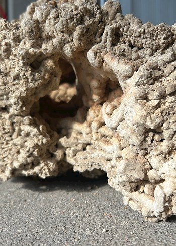 Akvaryum kayası - Görsel 2