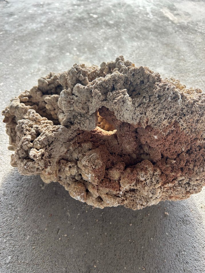 Akvaryum kayası - Görsel 3