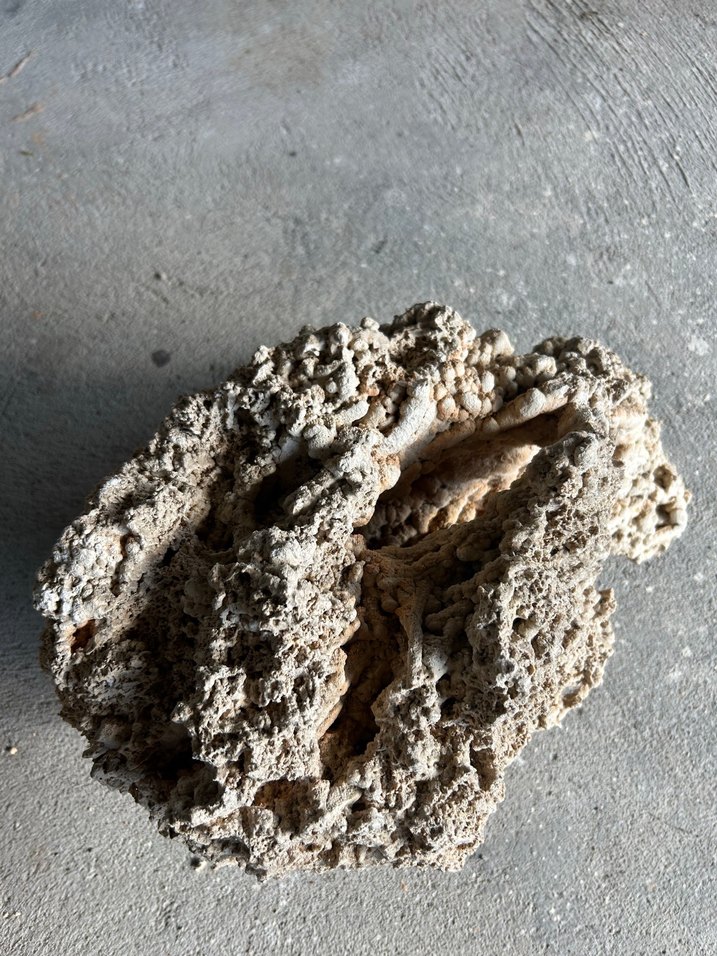 Akvaryum kayası - Görsel 4