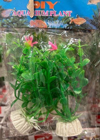 Yeşil Dekoratif Akvaryum Bitkisi - Görsel 8