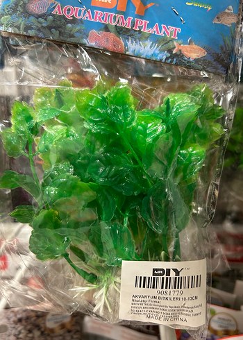 Yeşil Dekoratif Akvaryum Bitkisi - Görsel 6