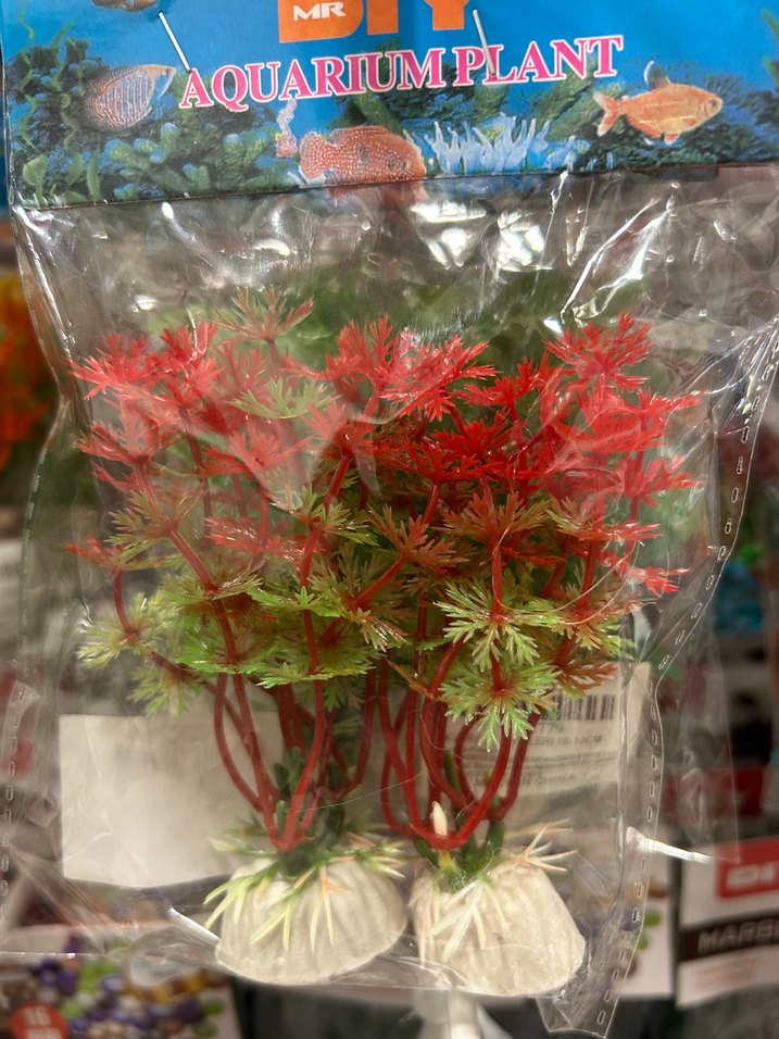 Yeşil Dekoratif Akvaryum Bitkisi - Görsel 2