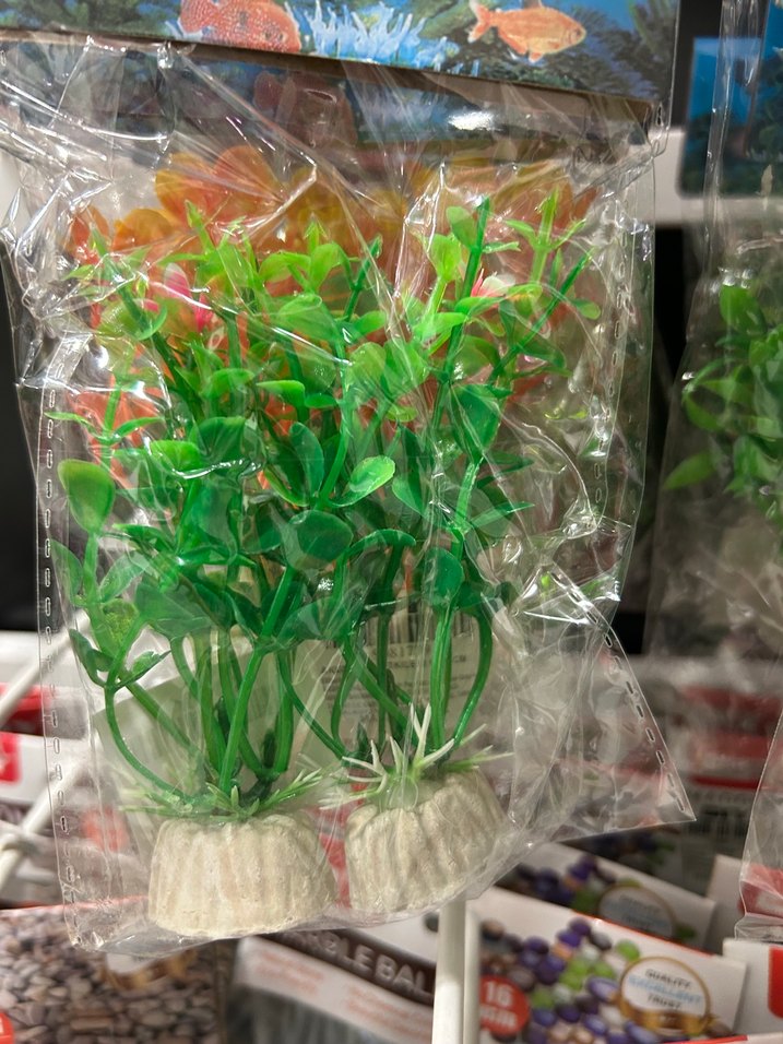 Yeşil Dekoratif Akvaryum Bitkisi - Görsel 5