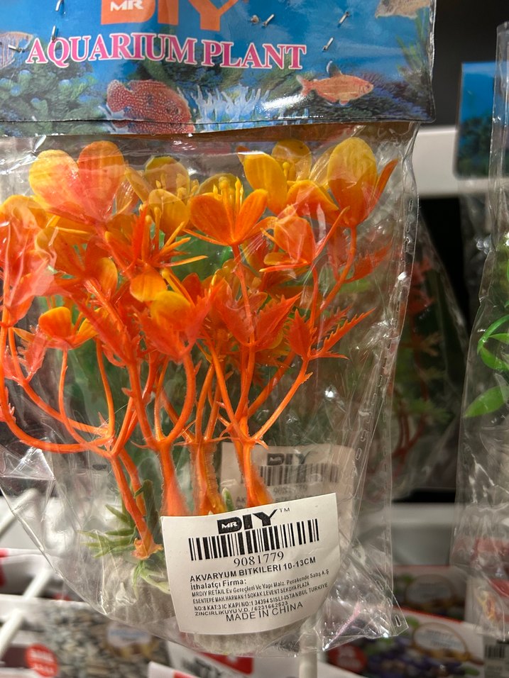 Yeşil Dekoratif Akvaryum Bitkisi - Görsel 3