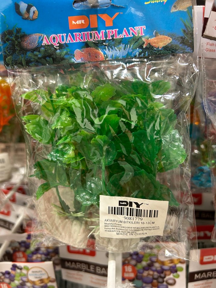 Yeşil Dekoratif Akvaryum Bitkisi - Görsel 4