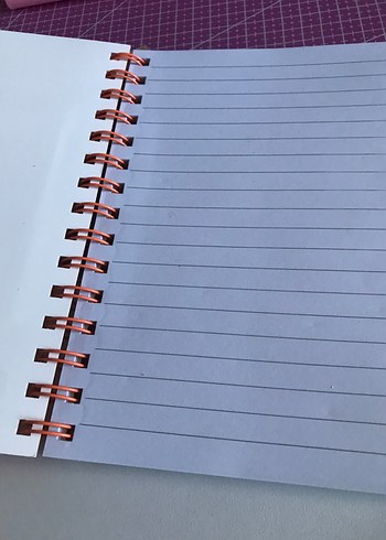 Beden Renk Turuncu Kapaklı Capybara Defter