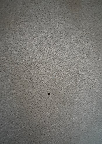 Tepe home koltuk takımı - Görsel 6