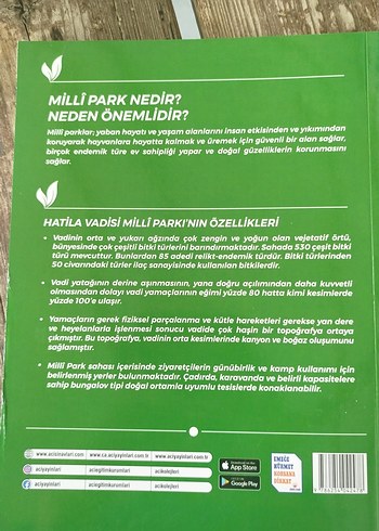 8. Sınıf Din Kültürü ve Ahlak Bilgisi Soru Bankası