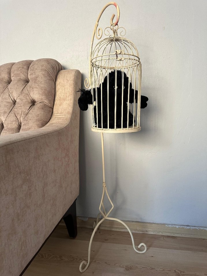 Beyaz Metal Kedi Aksesuar Kafesi - Görsel 2