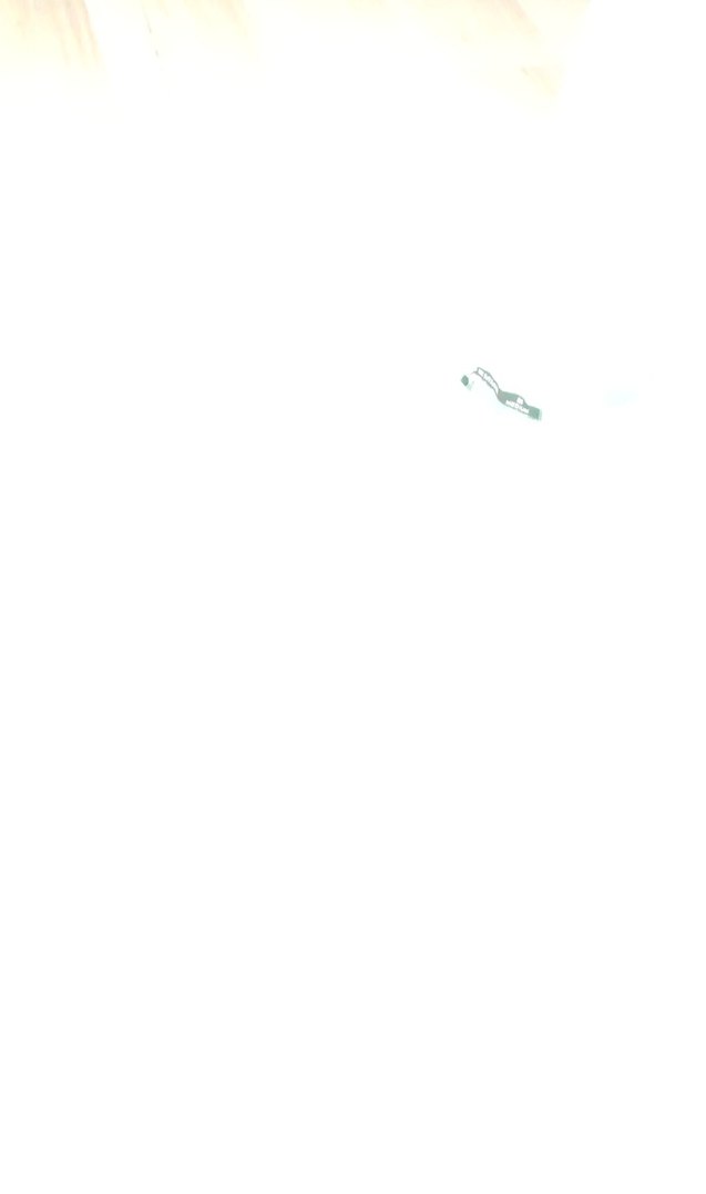 Yeşil Baskılı Midi Mezuniyet Elbisesi - Görsel 3