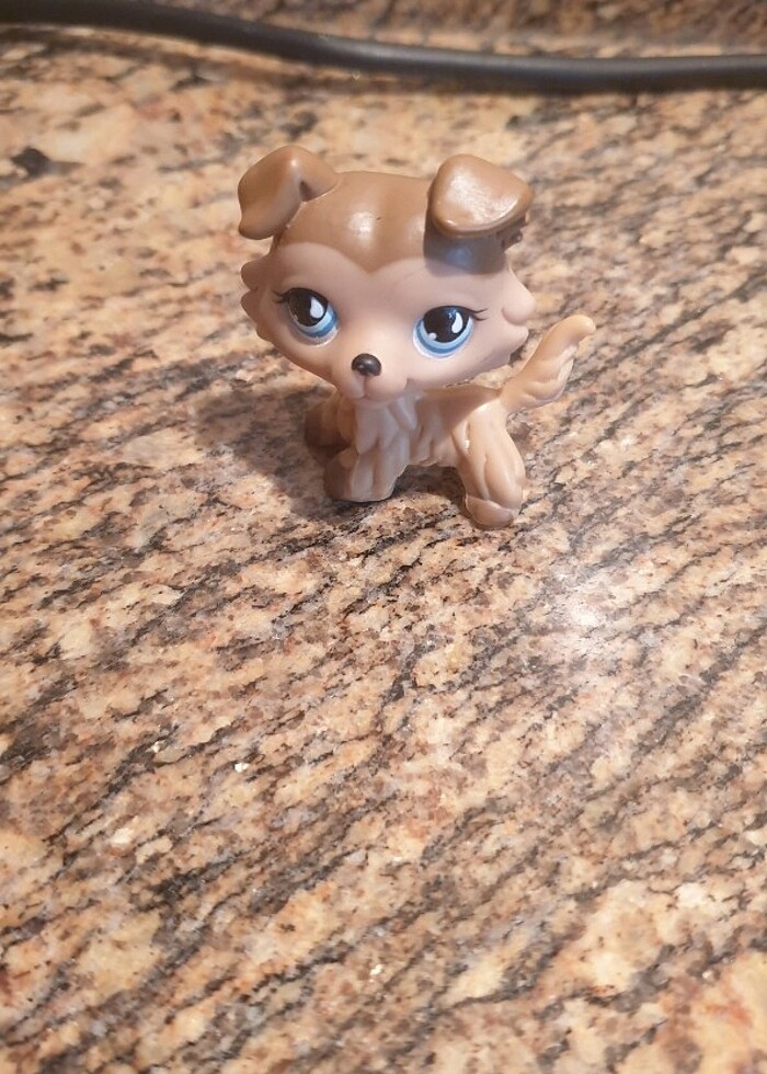 Lps collie miniş - Görsel 2