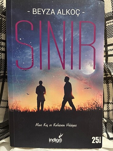 Sınır Ciltsiz