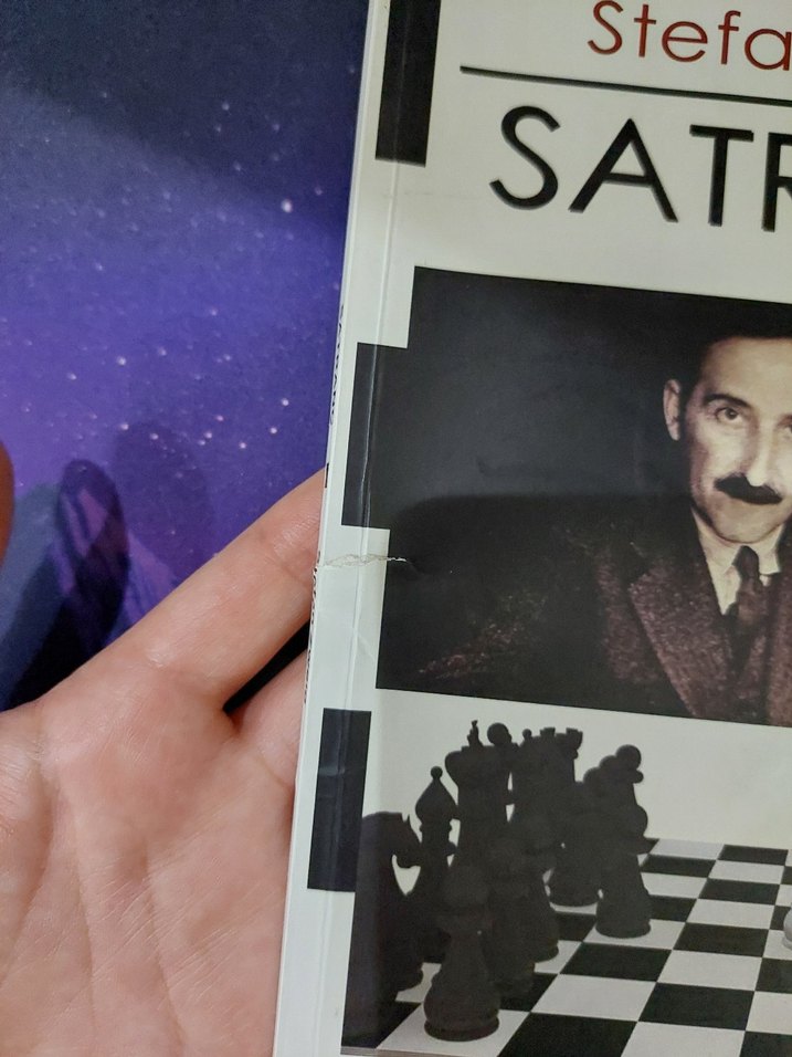 Satranç - Stefan Zweig - Görsel 3