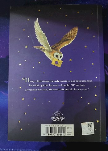 Harry Potter ve Felsefe Taşı - J.K. Rowling - Görsel 2